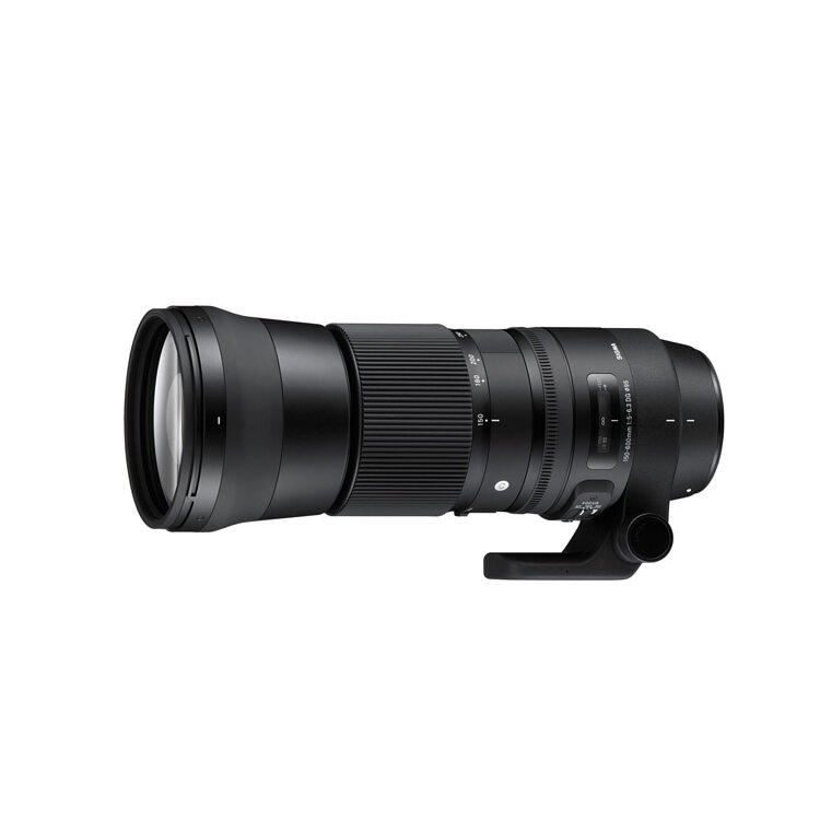 Sigma 150-600mm f/5-6.3 DG OS HSM Contemporary 適馬 香港行貨