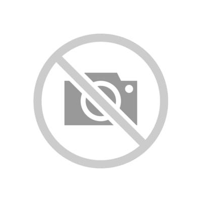 Sony FE 24-70mm F4 ZA OSS Vario-Tessar T* 索尼香港行貨SEL2470Z